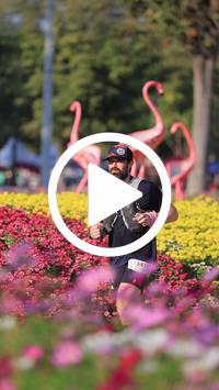 BIB:  <button type="button" onclick="openModal(27588559)" class="btn btn-primary btn-sm float-right" data-toggle="modal" data-target=".modal-high-quality">
                <i class="fa fa-download"></i> Download
                </button>